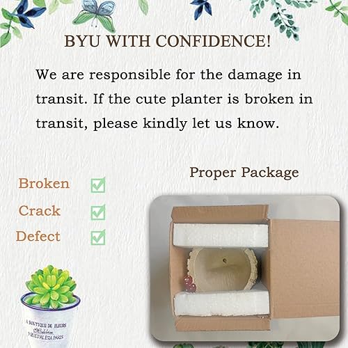 Miniatura 10 de Macetas pequeñas para suculentas con drenaje. Bonitas, divertidas y únicas macetas para suculentas de diseño para plantas de interior o exterior,
