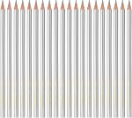 PATIKIL Set de crayons couleur argent,20 Pcs Couleur de l'huile Crayons Coloration en bois Dessin Crayon pour les artistes Art Painting