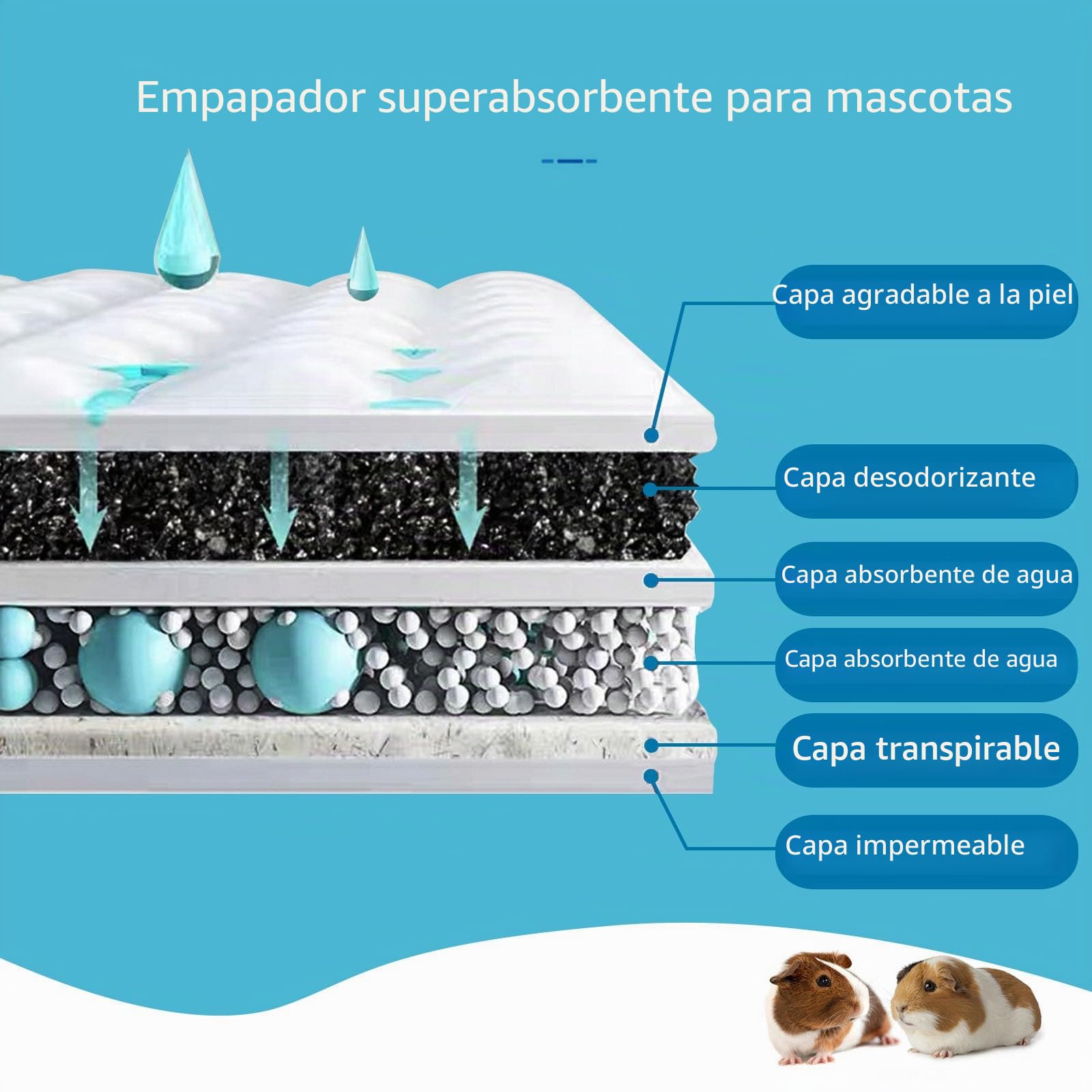 Almohadillas para pipí de cobaya, Absorbentes para Conejos, Forros Desechables para jaulas para hámster, Conejo, hurón, Chinchilla y Otros Animales pequeños (60 cm x 45 cm, 60 Piezas)