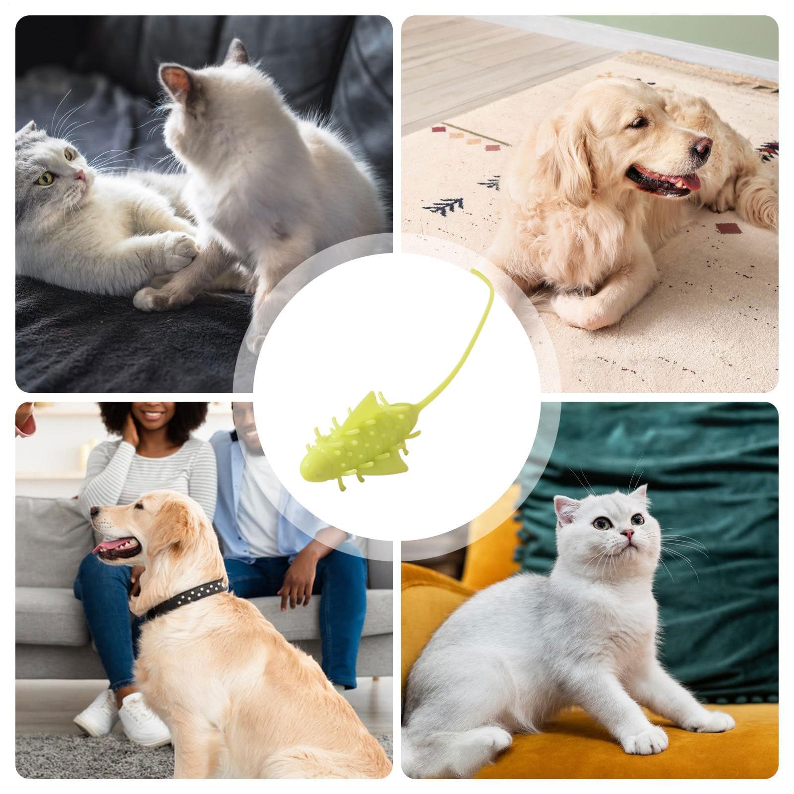 Juguetes para Gatos， Juego de masticación automática for Gatitos, for Ejercicios Alivio del aburrimiento en Interiores y Exteriores, simulación Mental