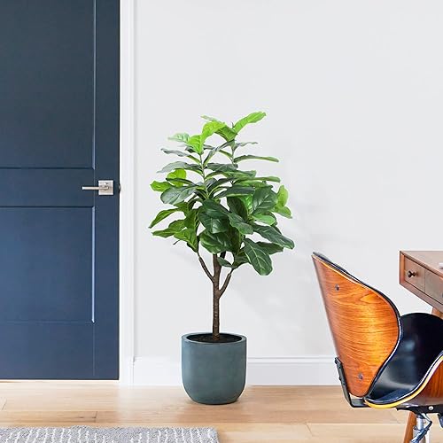 Miniatura 2 de Yepdin Árbol de higuera artificial de hoja de violín, planta falsa de 4 pies de alto con maceta de plástico para decoración de oficina y hogar,