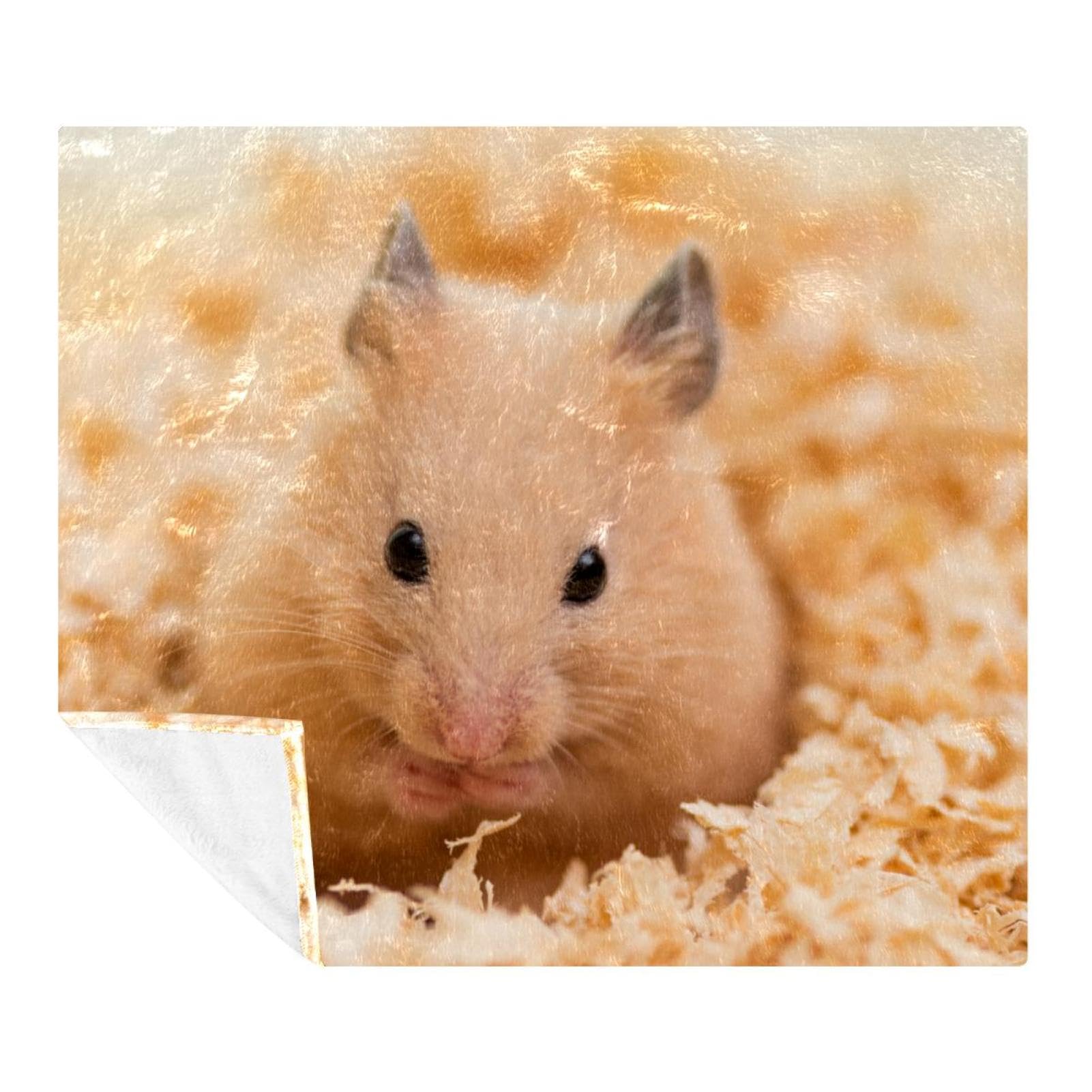 Couverture microfibre légère et thermo-isolante motif hamster pour lit et sofa