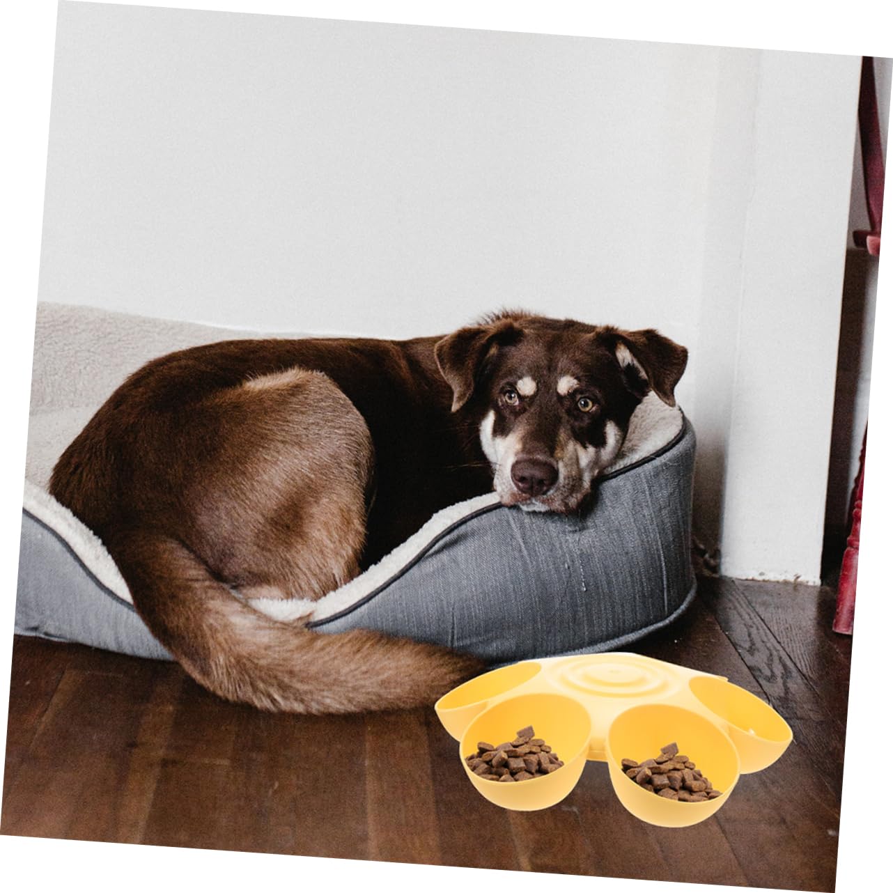 Sosoport 2pcs Flower Shape Dog Bowl Puppy Feeder Dispenser Non Slip Design for Cats and Dogs Easy to Clean Convenient Pet Food Bowl and Feeding