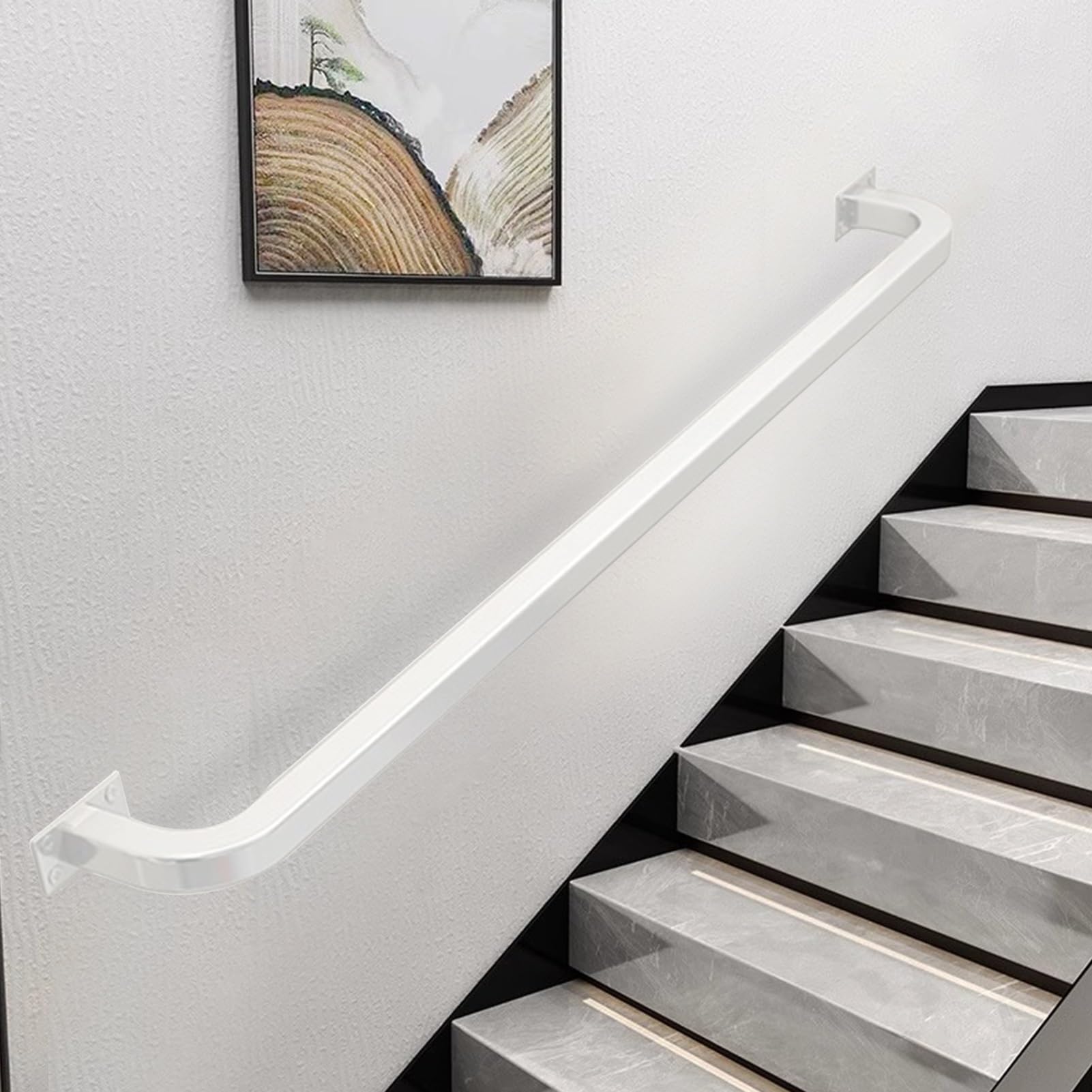 Rampe d'escalier anti-chute avec supports muraux pour escalier extérieur