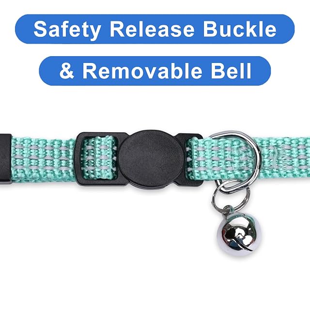 Foto 3 de 8 de Pawtitas Collar Ajustable para Gato Reflectante con Campana Desmontable Turquesa