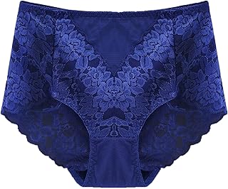 QWUVEDS Women's Embroidered Sexy Panties, Lace Mesh Panties, Low Waist Briefs, Women's Hot Pants, Underwear, Small Women's Sexy Briefs, Women's Lace Briefs, Seamless Hipster Lace Cotton