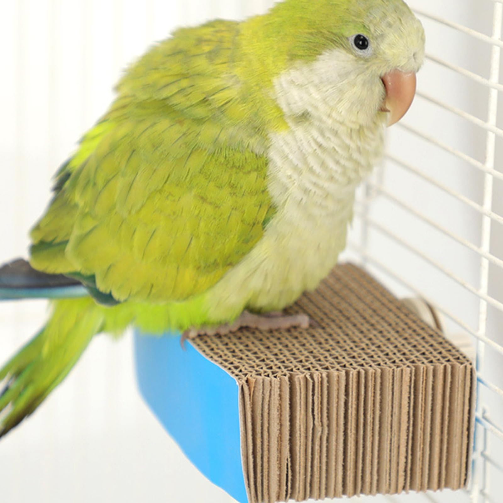 Vogelsitzstangen Plattform aus Wellpappe, sicherer Ständer für Sittiche, Nymphensittiche, Papageien, Käfigzubehör, Vogelübungsspielzeug, Sitzstangenständer