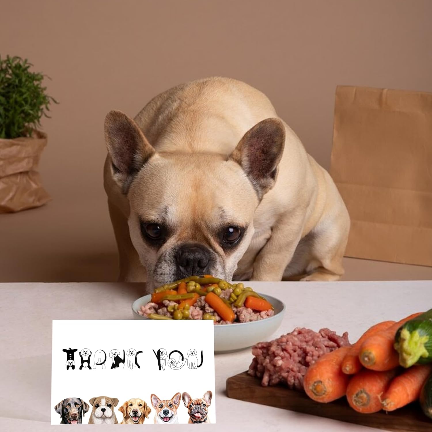 Cute Dog Thank You Card - Appreciation Gift for Friend, Teacher, Boss, Coworker or Dog Lover - Pun Veterinarian Card - Image 6