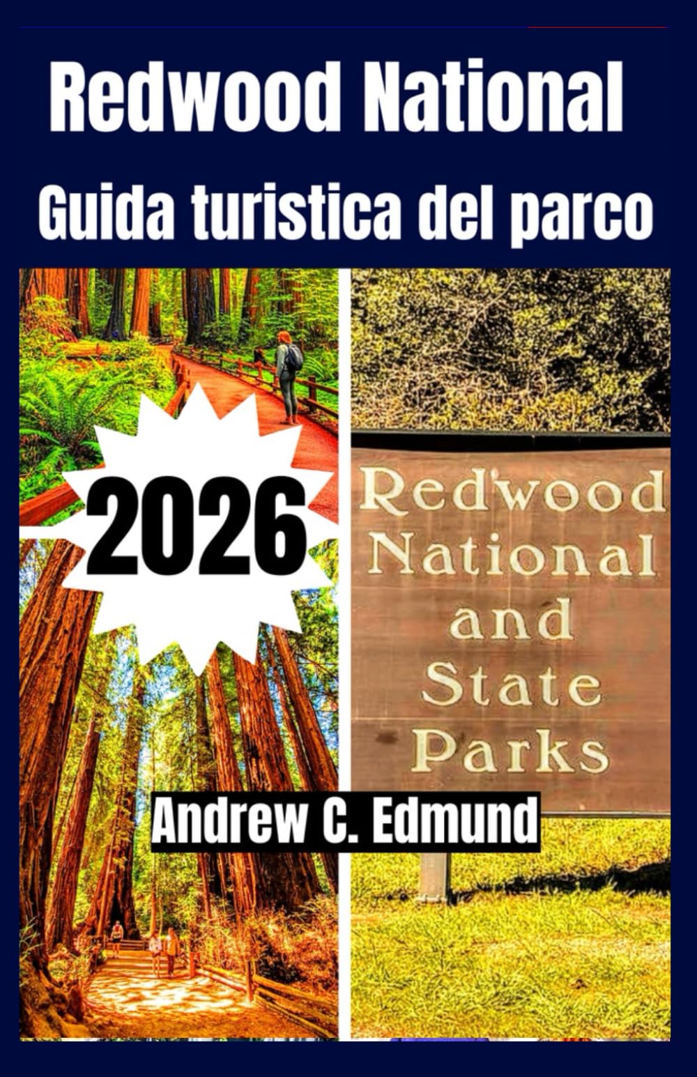 REDWOOD NATIONAL GUIDA TURISTICA DEL PARCO 2026: Esplora percorsi panoramici, escursioni, consigli economici, campeggi, fauna, itinerari e altro