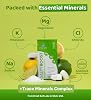 Ultra Lyte Electrolytes Drink Mix Sachets - Sugar-Free Electrolytes Powder with High Sodium, Trace Minerals and Coconut Water - Rehydration for Fitness (24 Sachets, Salty Citrus)
