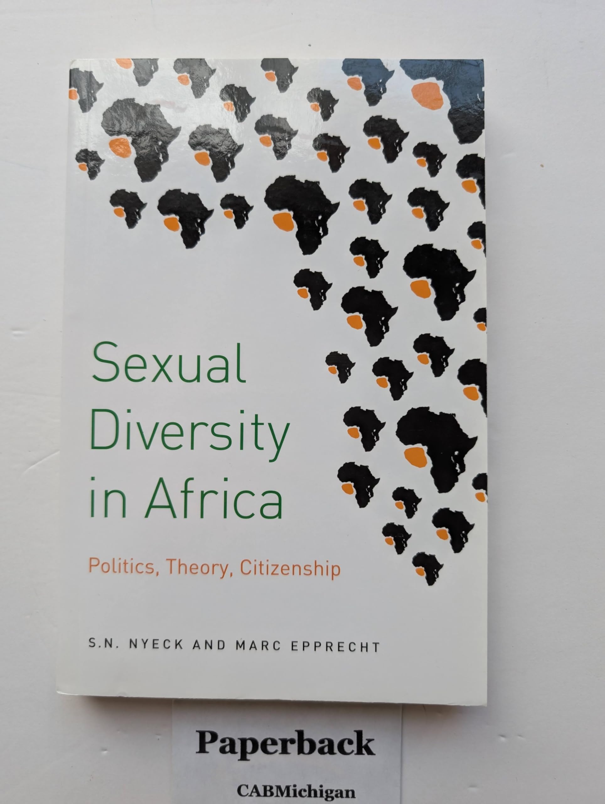 Sexual Diversity in Africa  Politics Theory and by S.n. Nyeck PAPERBACK