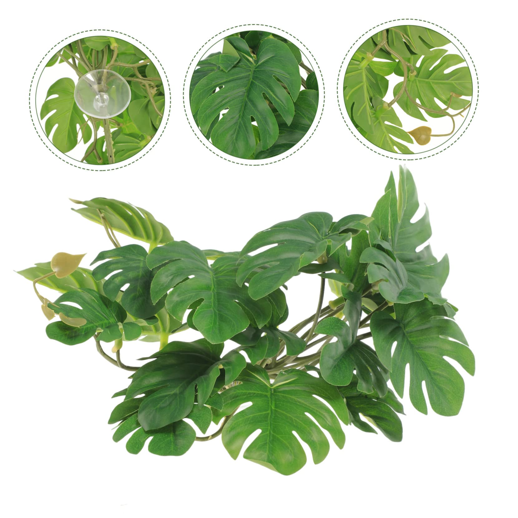BESPORTBLE 5 Piezas De Decoración De Plantas De Reptiles Decoraciones De Terrarios Contenedores De Vidrio Enredaderas Terrarios De Reptiles Decoraciones Ligeras para El Hogar