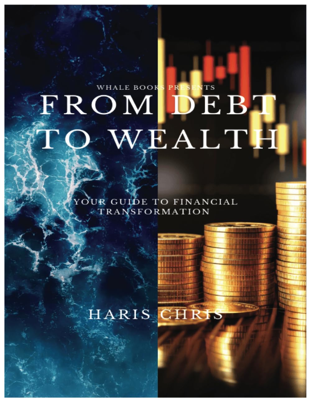 From Debt to Wealth : Your Guide to Financial Transformation