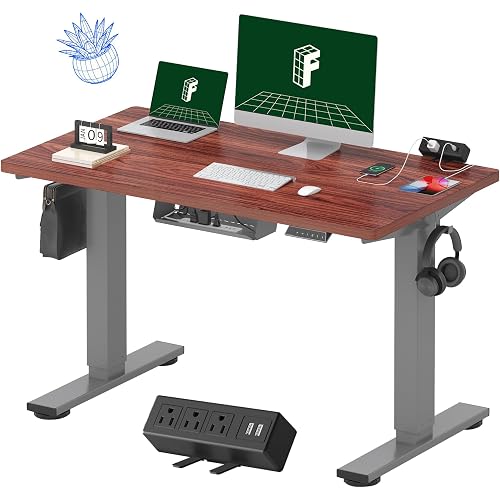 FLEXISPOT EN2 Whole-Piece Standing Desk with Clamp Power Strip, 48 x 24'' Electric Stand Up Height Adjustable Desk with Cable Management (Gray Frame + 48" Mahogany Top, 2 Packages)