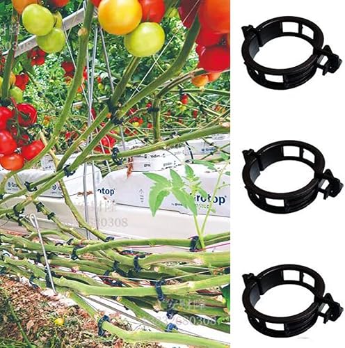 Miniatura 6 de 100 clips de soporte para plantas de jardín, clips de tomate, lazos para plantas, clips de enrejado, clips de enrejado para plantas de vid de