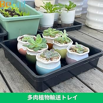 〈木-242〉ハンドメイド【木箱】[タイプ 45 ]10個　多肉棚　育苗トレー 木-243〉ハンドメイド【木箱】[タイプ 45 ]10個 多肉棚 育苗