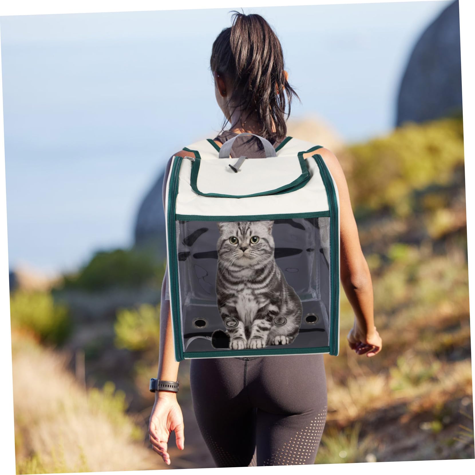 Toyvian Katzentragetasche Faltbar mit Netzmaterial für Kleine Hunde und Katzen für Reisen Wandern und Outdoor-aktivitäten Platzsparend und Atmungsaktiv