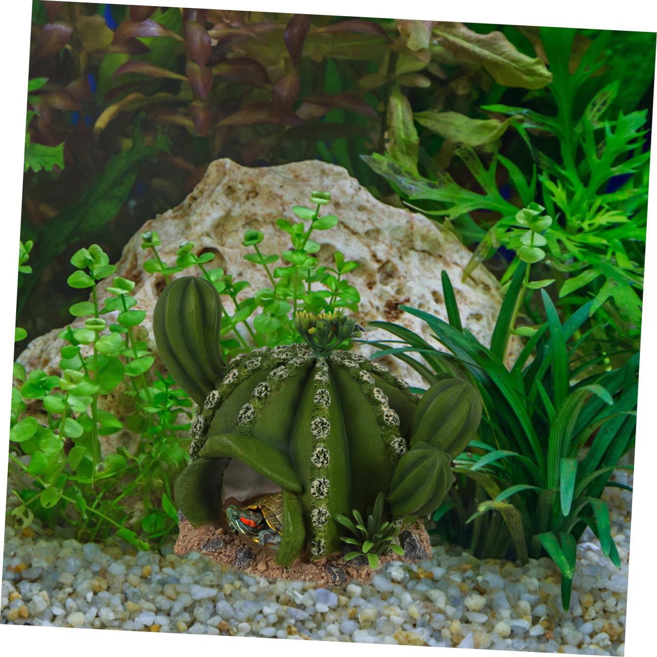 BESPORTBLE 3 Pezzi Cactus da compagnia rampicante nascondiglio dei rettili accessori geco leopardo Accessorio per paesaggio rettili Decorazione per rettili modelli di cactus resina Green
