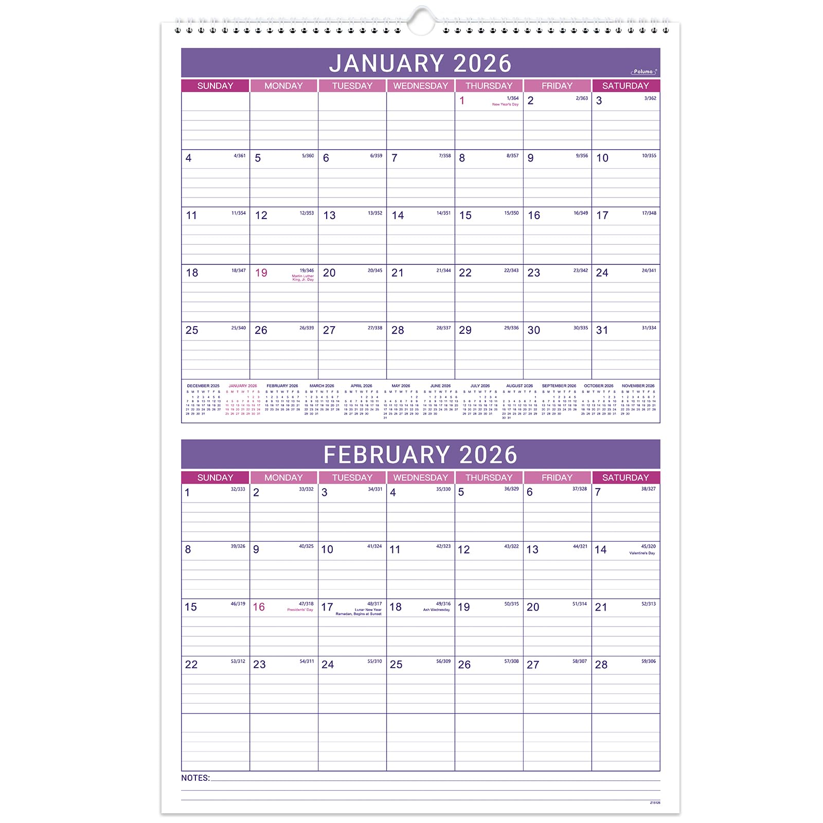 2026 Wall Calendar - Large 2-Month Calendar 2026 Display (Folded in a Month), 2026 Calendar, Jan 2026 - Dec 2026, 14.7" x 22.3", Wall Calendar 2026