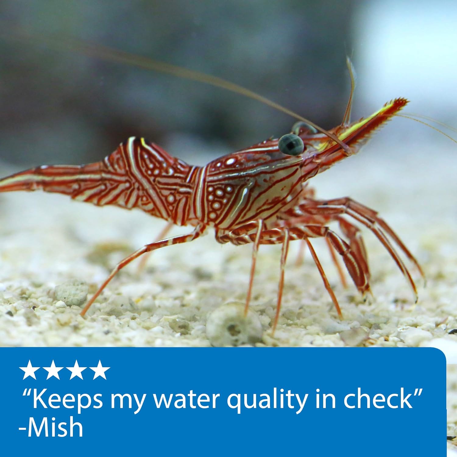 api marine saltwater master test kit