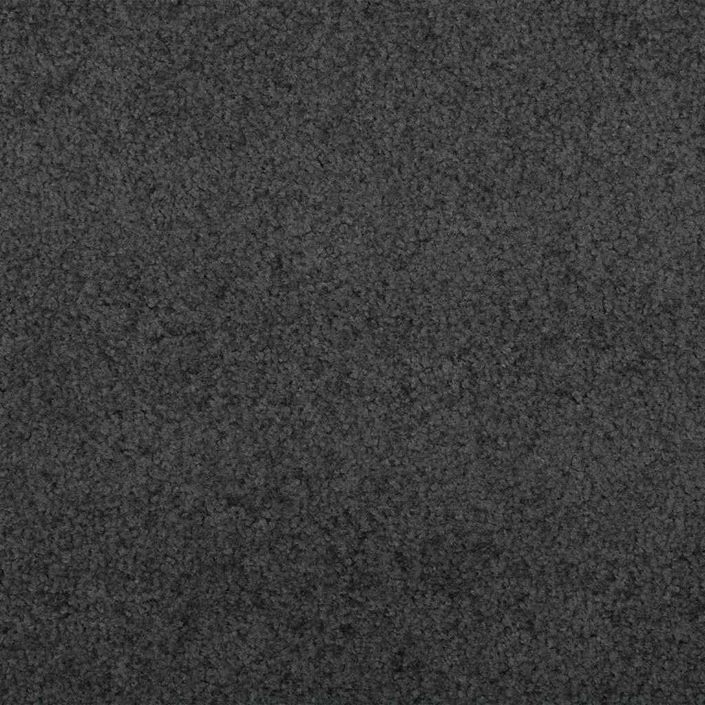 Fußmatte Anthrazit Schwarz 120x400 cm Polyamid Türvorleger