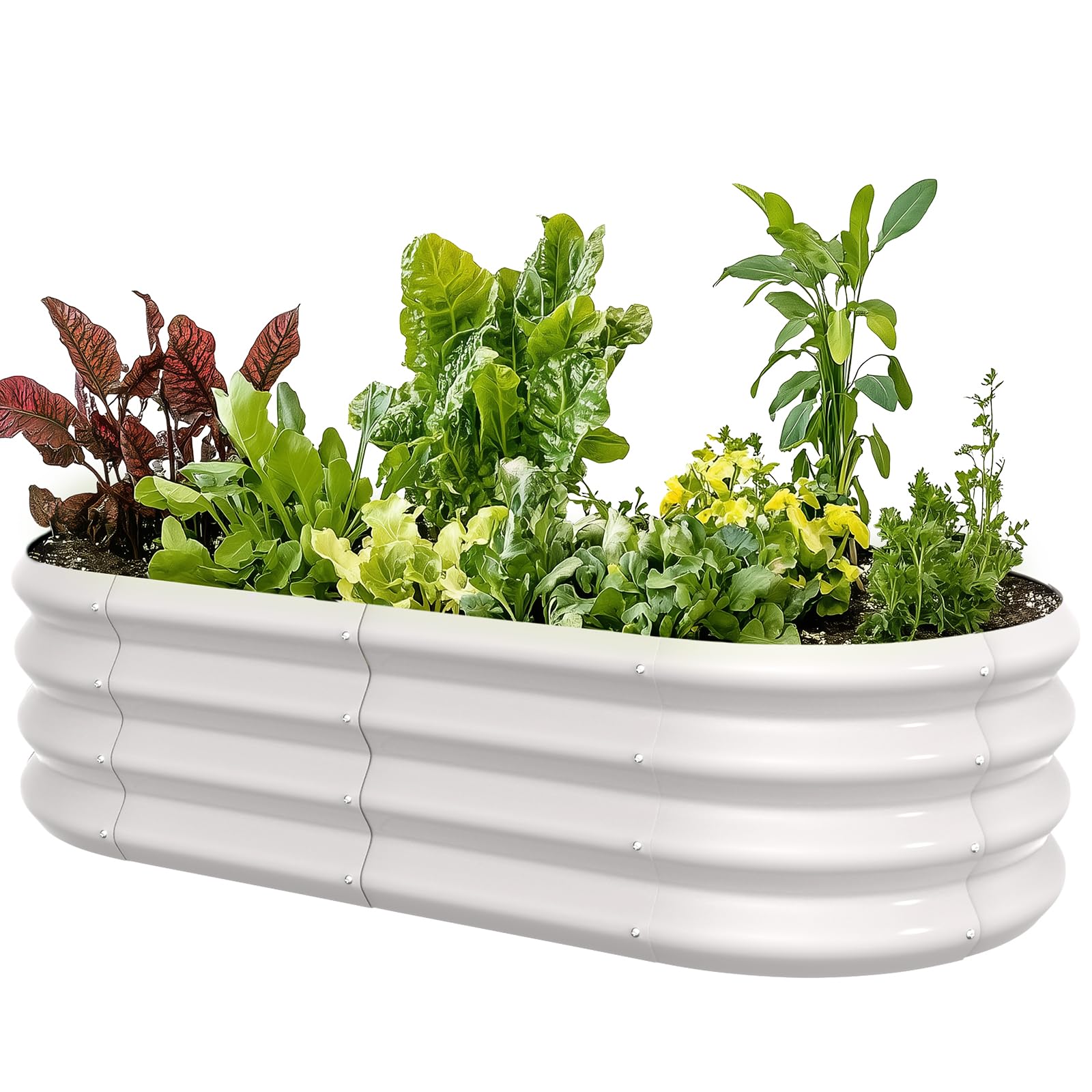 IDEA FAMILY 4x2x1ft Oval Galvanized Raised Garden Bed Outdoor 9-in-1 Large Metal Modular Planter Box Raised Beds for Gardening,Vegetables,Fruits,