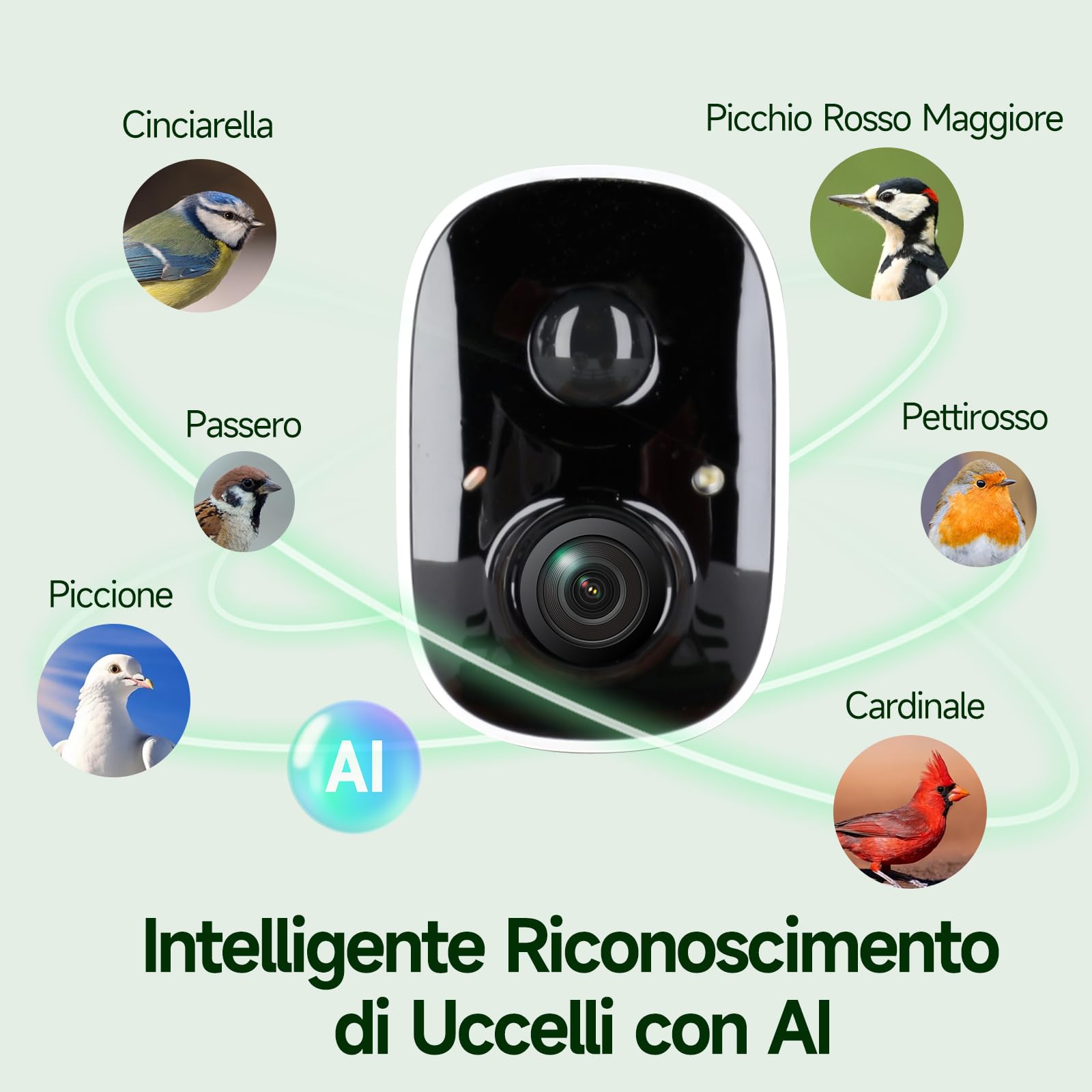 Rollei Mangiatoia per Uccelli Intelligente con Telecamera 3K Smart Bird Feeder da Esterno con Pannello Solare AI Identificazione di 10000 Uccelli Visione Notturna a Colori Notifica Istantanea IP65