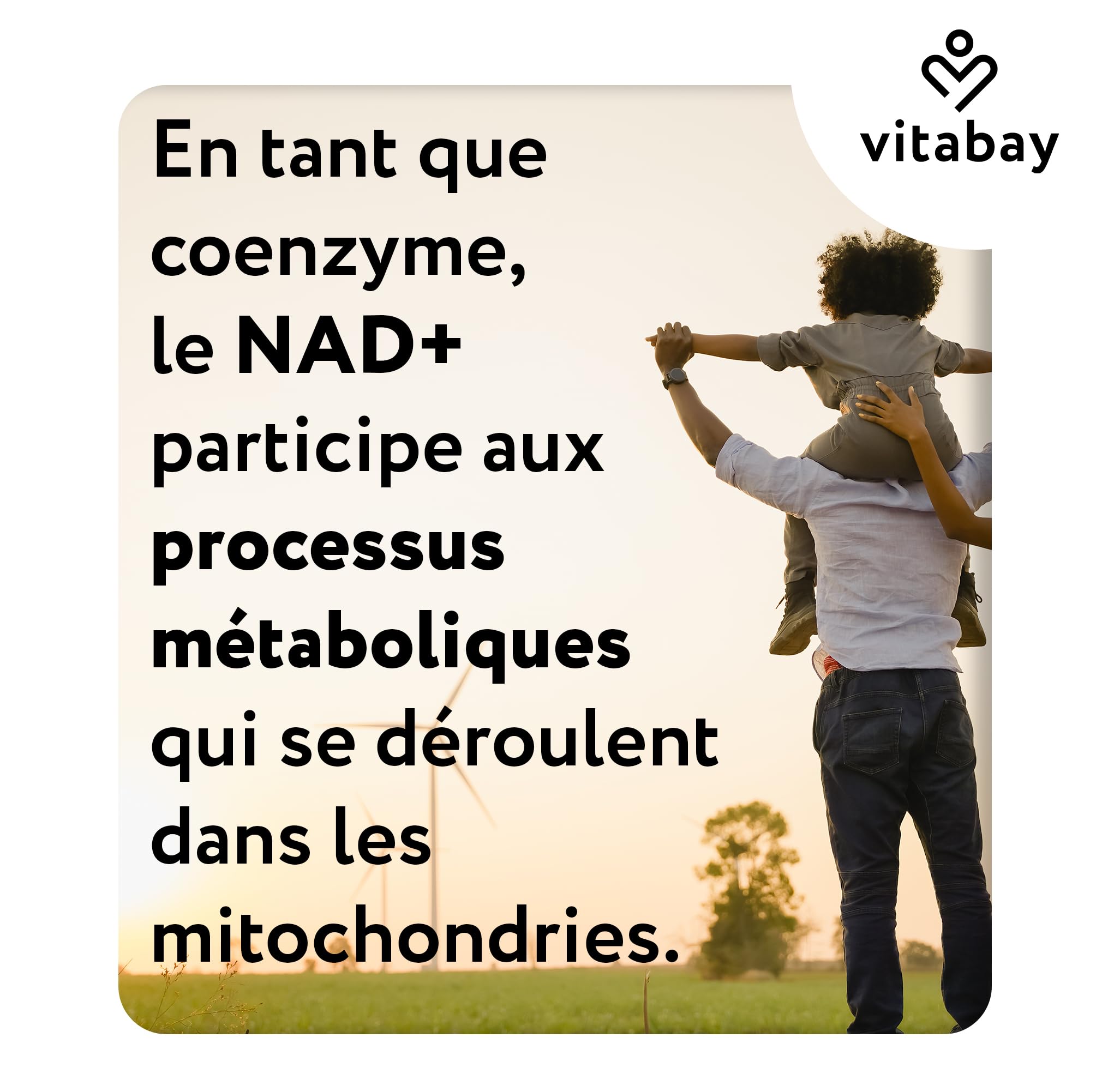 Vitabay NAD+ liposomal 1000 mg avec trans-resvératrol 600 mg - 90 softgels végétaliens - haut dosage, vegan, testé en laboratoire en Allemagne - complément NAD - sans OGM - 45 jours