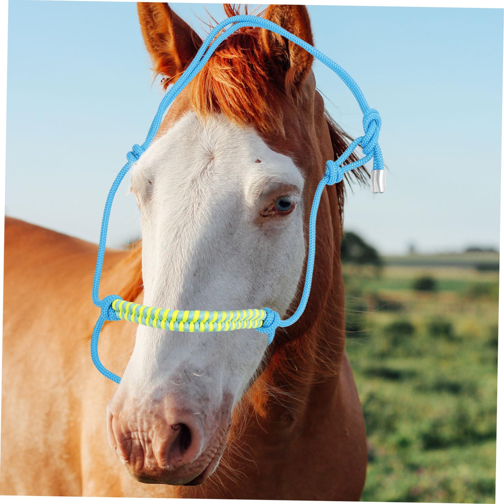 Cavezza di Corda per Cavallo Regolabile, 1 Pezzo, Nylon Nero