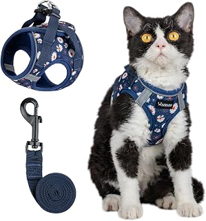Arblina Soft Mesh Kitten Harness and Leash Set for Walking, Lightweight Step in Cat Vest Harness,Reflective Ajustable Puppy Vest for Traveling