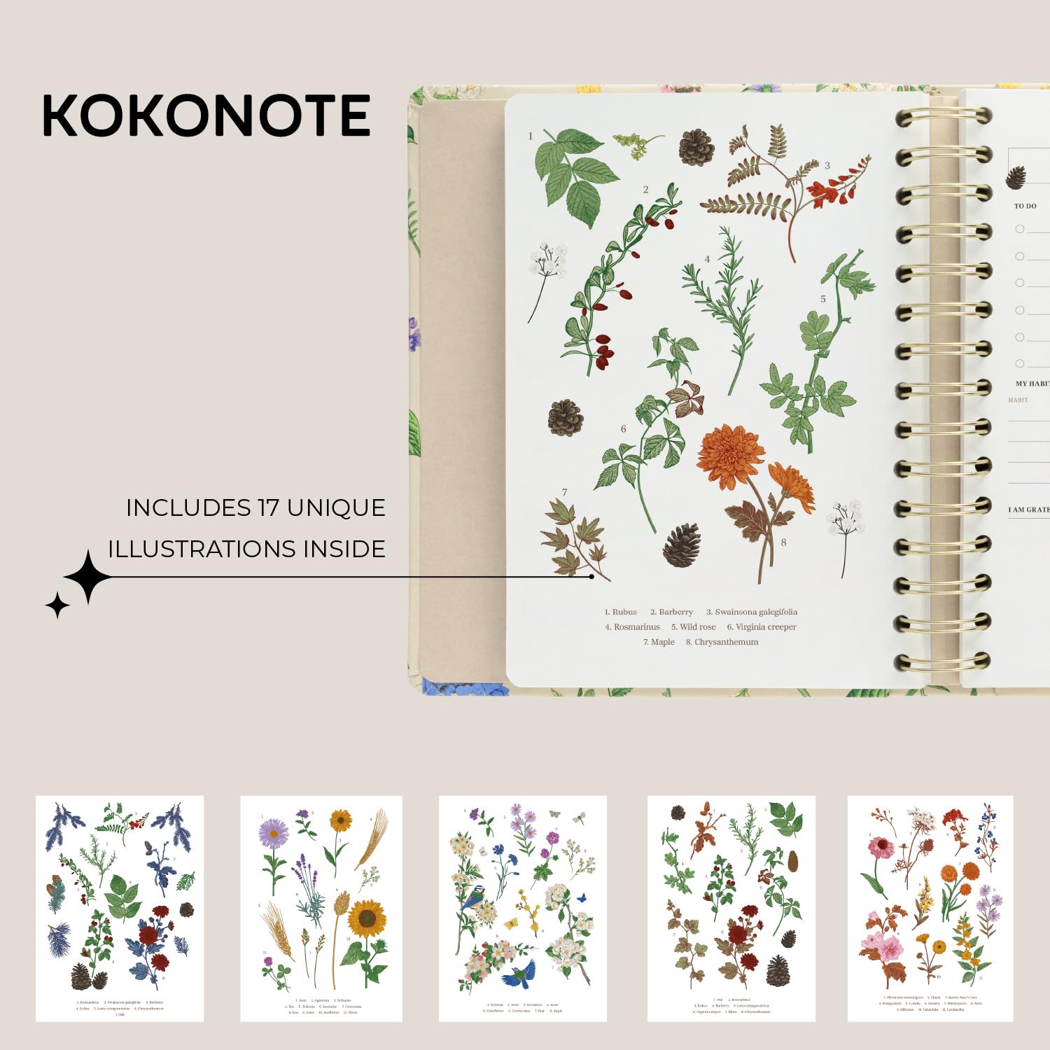 Kokonote Agenda Semainier 2025-2026 Fleurs - Planner Hebdomadaire Scolaire Et Professionnel, Étudiant Lycée Études Bureau