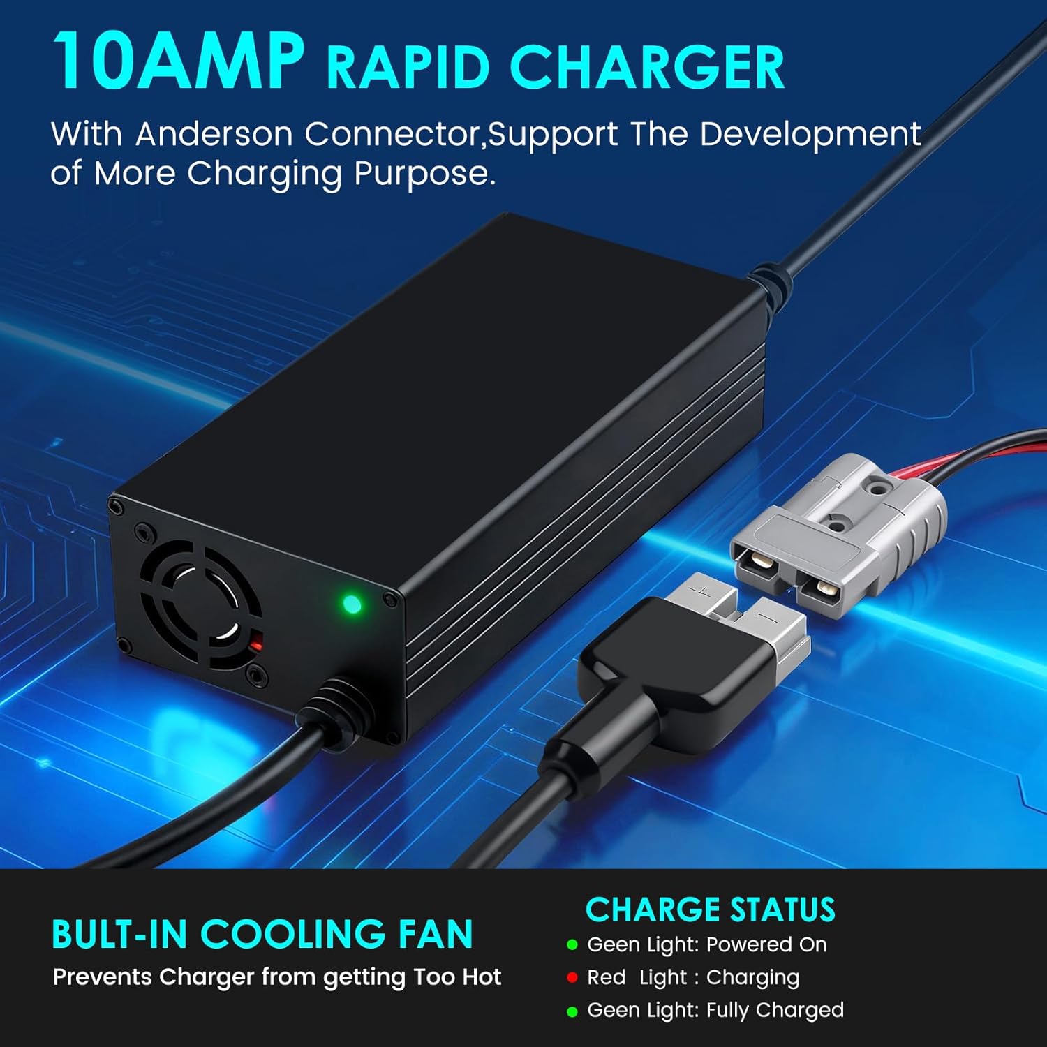 12V 10A Lithium Battery Charger 14.6V LiFePO4 Battery AC-DC Smart Charger with Anderson Connector LED Indicator Special for Deep-Cycle Rechargeable Batteries of Car, Truck, Boat, RV