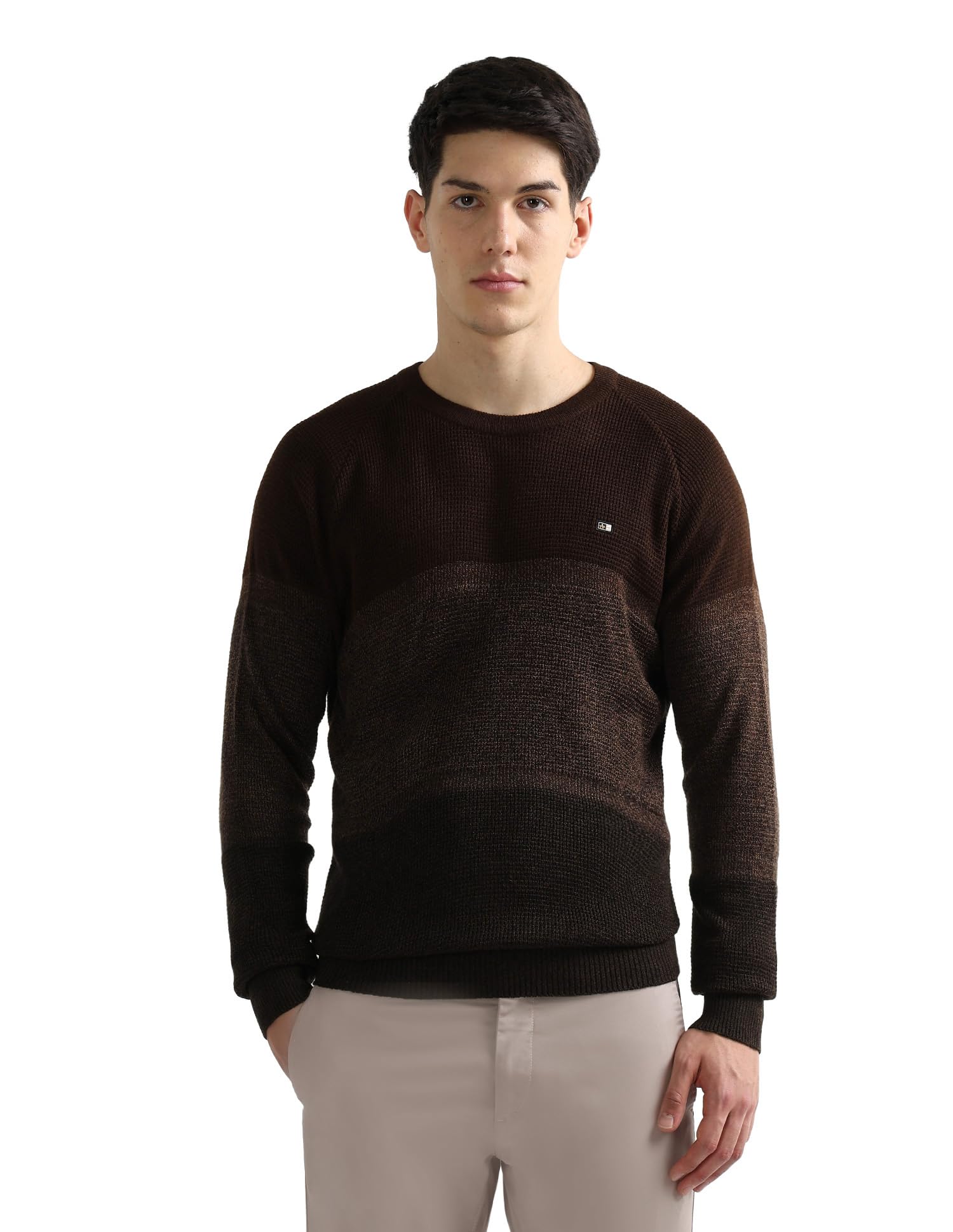 arrow sports Arrow Sport Men's Colour Blocked Regular Fit Sweater-picture-39