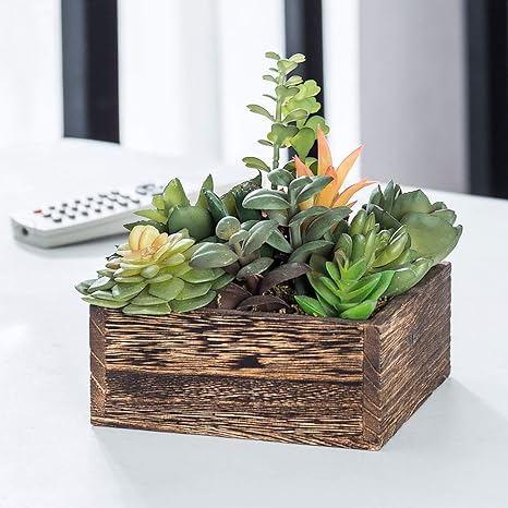 Amazon Com Mygift 5寸人造多肉植物棕色木方形種植器 居家與廚房 Amazon Com Mygift 5寸人造多肉植物棕色木方形種植器 居家與廚房