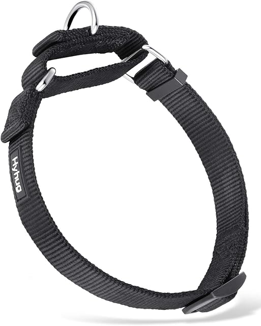 Heavy Duty Nylon Escape-proof Martingale Dog Collar for Large Breeds Boy and Girl Dogs - Walking Training Daily Use. (Large, Black)