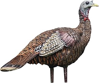 Avian-X Lookout Hen Turkey Decoy, Lifelike Collapsible Decoy, Multi, Model:8006