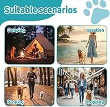 Ver la foto 5