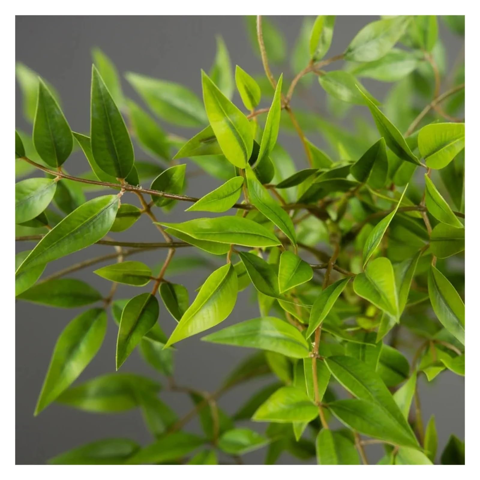 Künstliche Tannenzweige 75–140 cm künstliche Pflanzen, Nandina-Baum, grün, hohe, Blätter, Zweige for die Dekoration von Haus, Garten und Büro(75cm 1 Branch)
