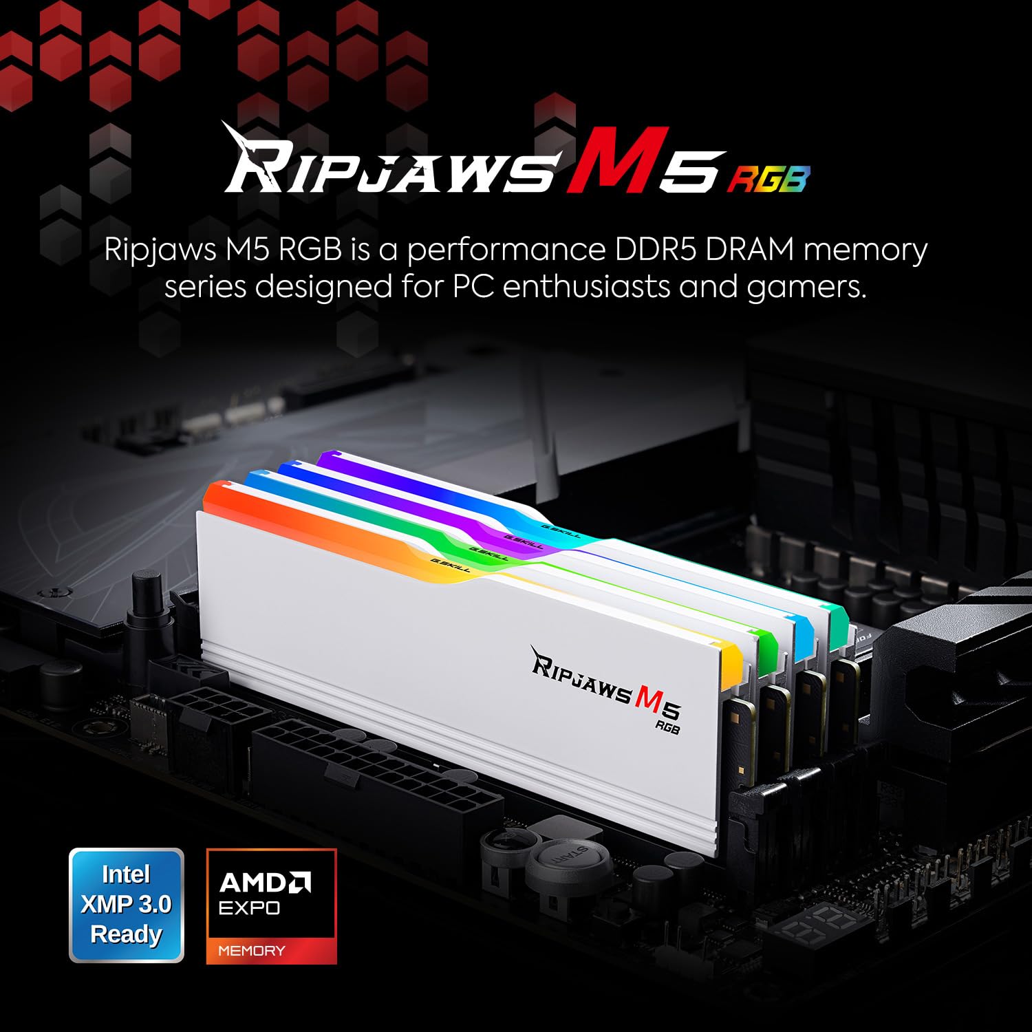 G.SKILL Ripjaws M5 RGB Series DDR5 RAM (Intel XMP 3.0 & AMD EXPO