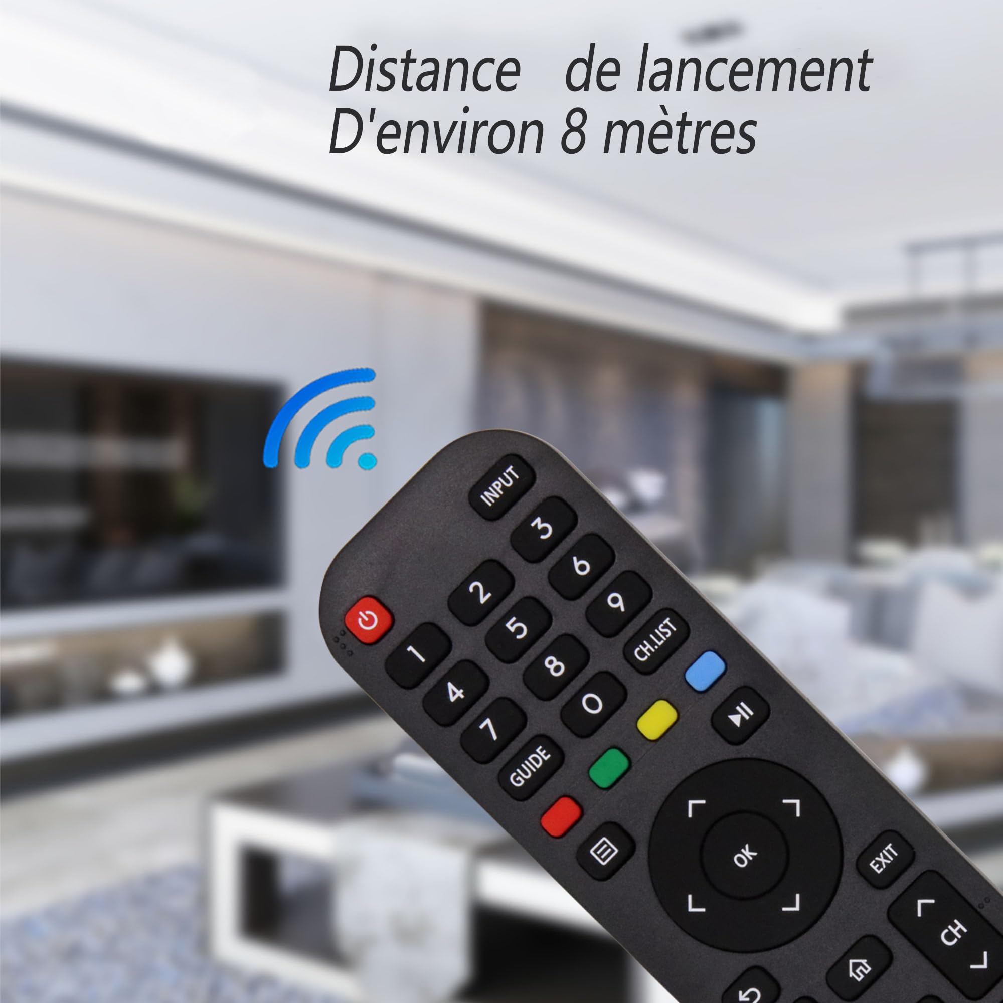 Nouvelle Riry - Remplacement de la télécommande Hisense EN2G30H pour la télévision Intelligente Hisense VIDAA LCD LED 4K UHD