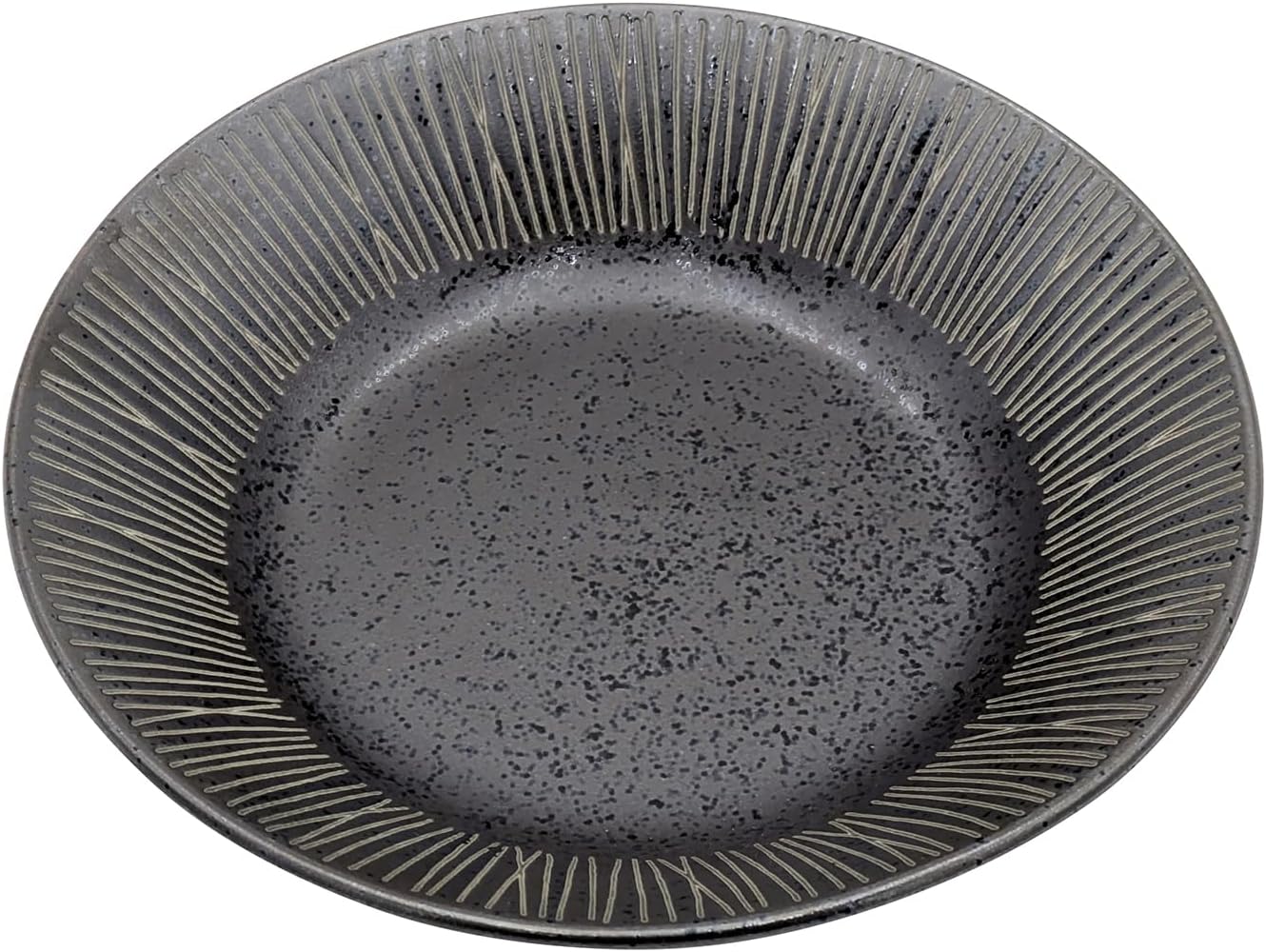 Mino Ware 133-60708 Curry Plate, Pasta Plate, Approx. 8.3 inches (21 cm), Microwave, Dishwasher Safe, Wire, Black, Made in Japan