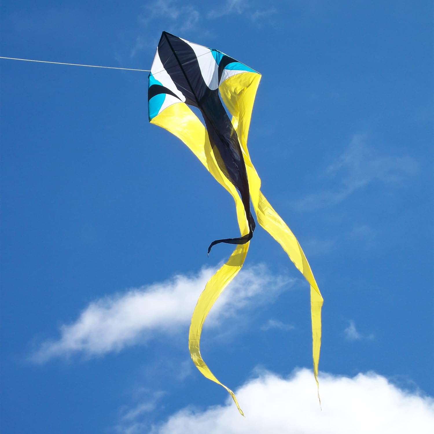 In the Breeze Wave Delta Kite with Applique Design