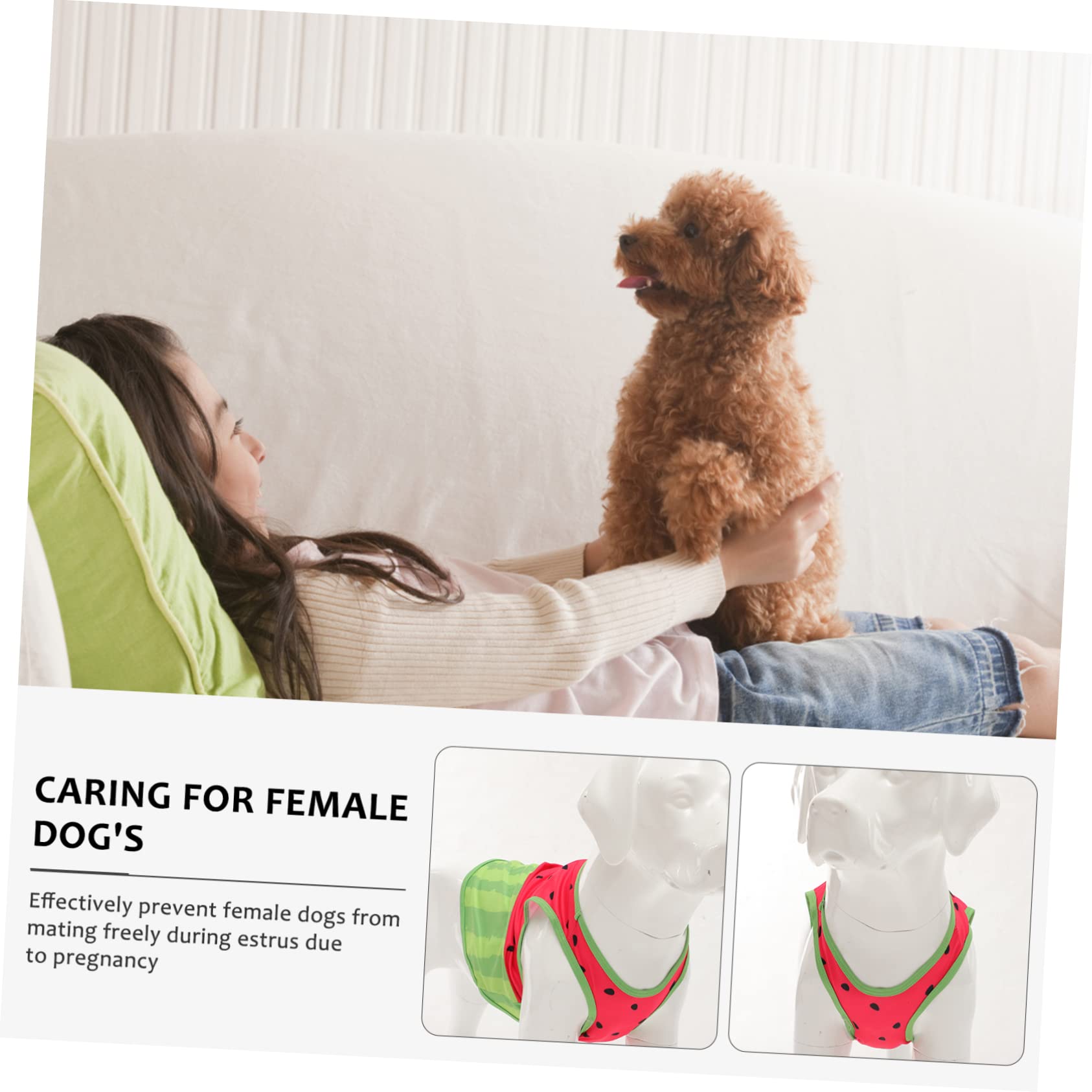 Gilet Rafraîchissant pour Chien, Motif Pastèque, Taille L, Soie | Confortable et Respirant, pour Activités Intérieures ou Extérieures, Modèle Xl
