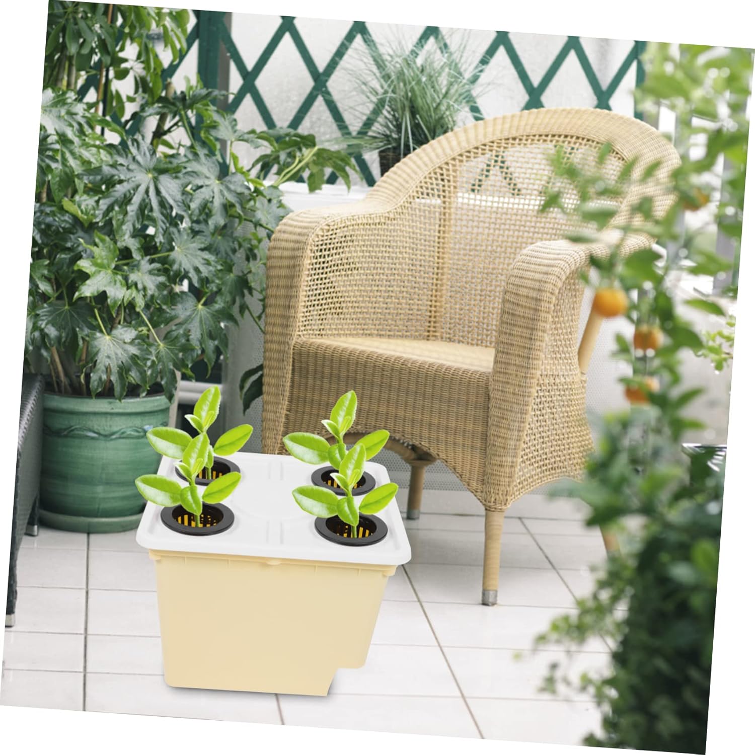 VICASKY 4holes Hydroponic Baskets Greenhouse Hydroponics System for Indoor Vegetable Fruit Planting