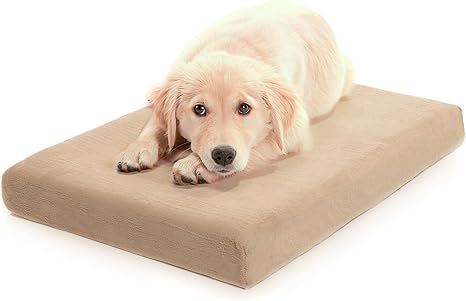 dog beds amazon