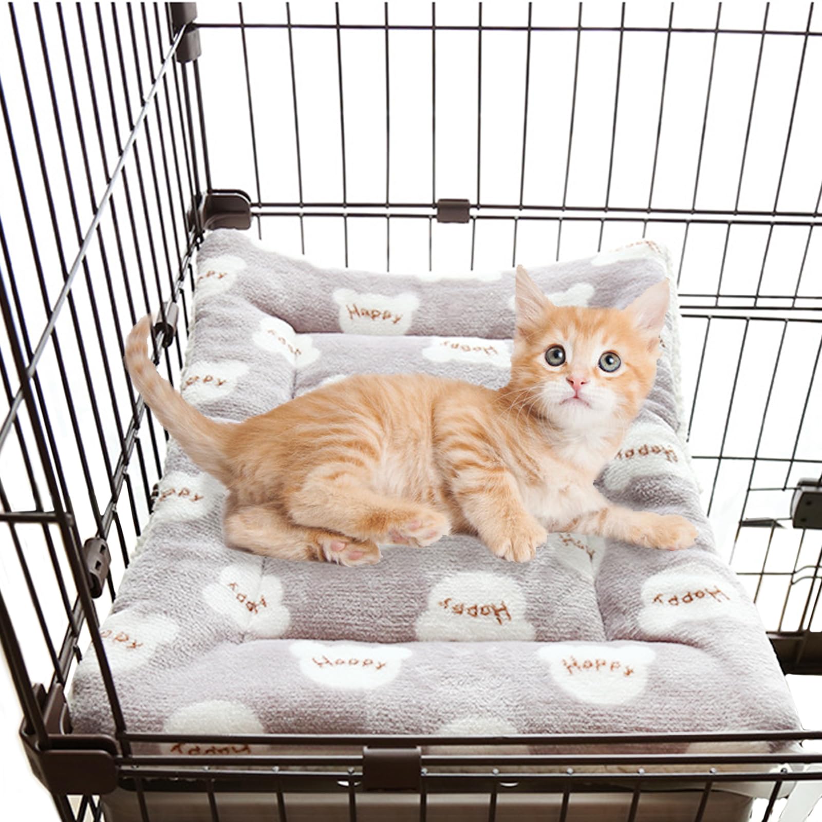 リジェアカウント 猫プレイマット 61FlUFJonIS._AC_SY200_QL15_.jpg