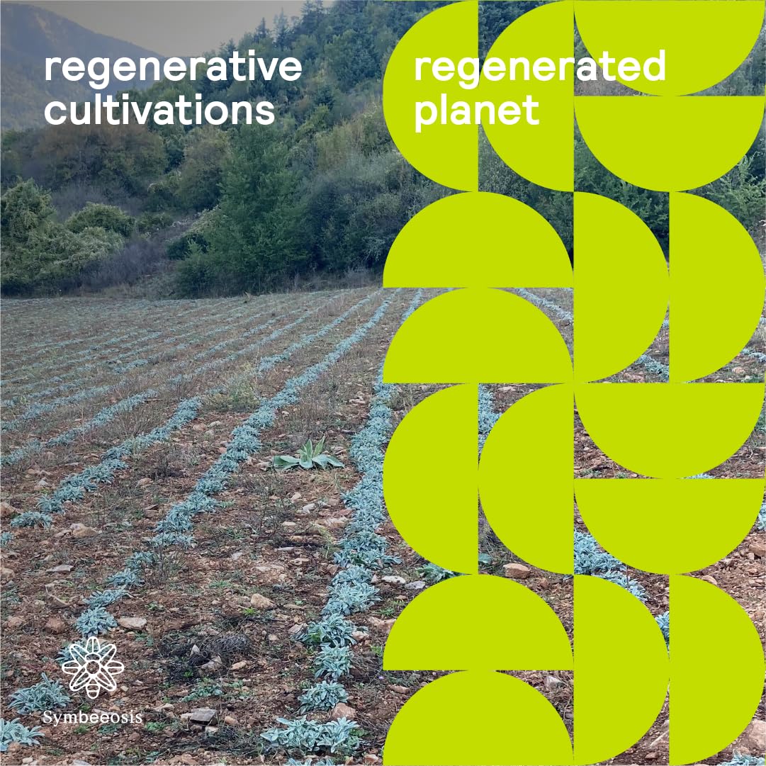 Origano Biologico - Origanum vulgare subsp. Hirtum - Erba Culinaria e Digestiva - Elevata Bioattività, Migliora il Sapore del Cibo, Diuretico Naturale, Tratta Problemi Gastrointestinali