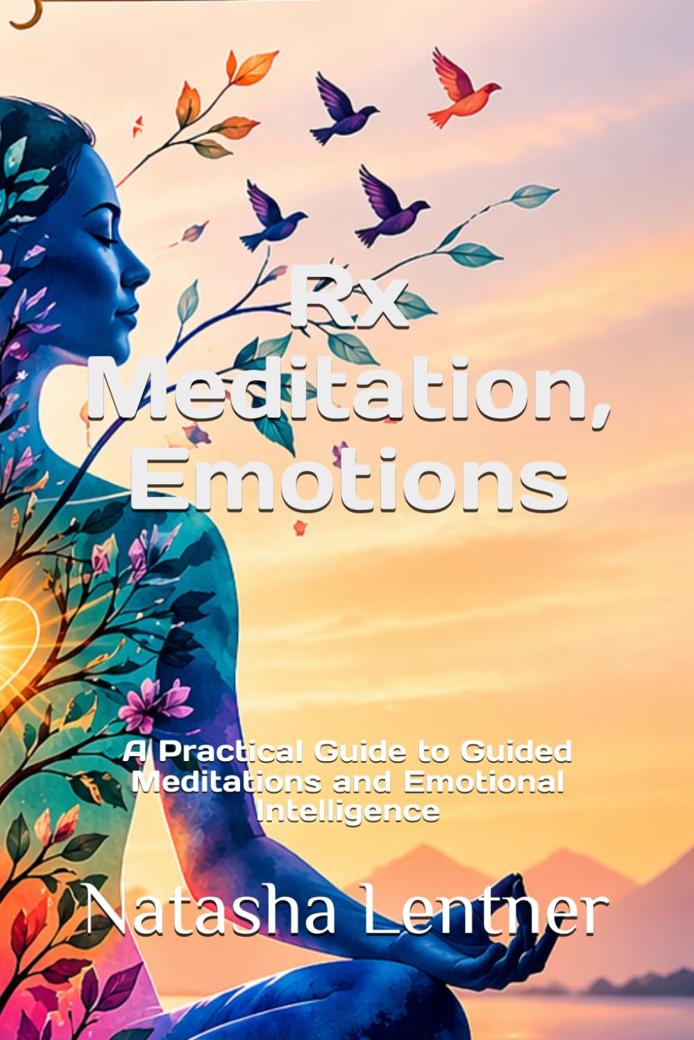 Rx Meditation, Emotions: A Practical Guide to Guided Meditations and Emotional Intelligence