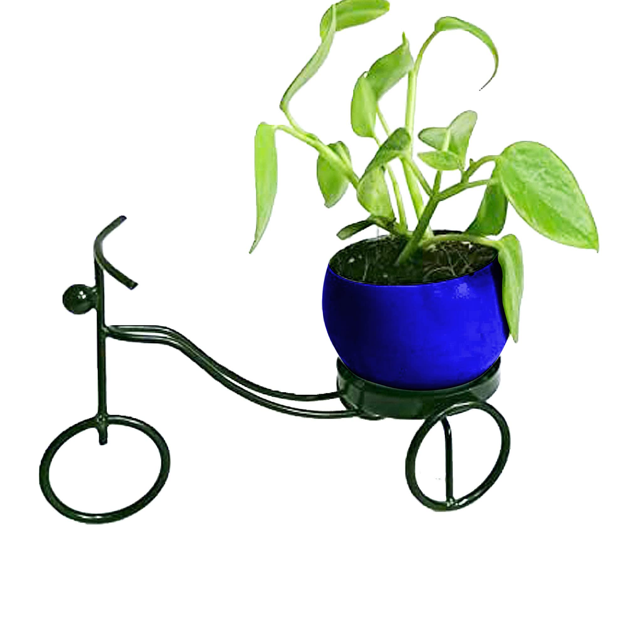 GrowKaro Air Purifying Live Money plant Indoor Plant In Beautiful Blue Metal Pot Decorated on Cycle Stands for Home & Living Room Decor | Office Desk (B09KS21GHZ) Amazon Price History, Amazon Price Tracker