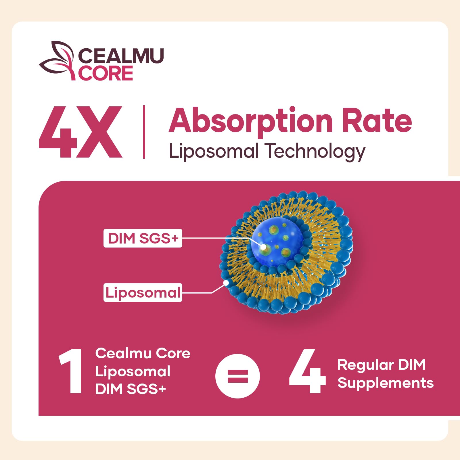 Liposomal DIM SGS Supplement 1 Pack- Estrogen Supplements — Amazon image 6